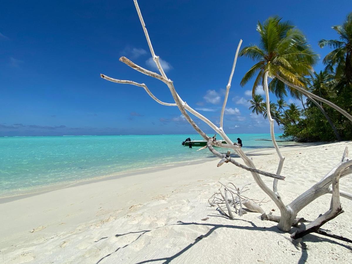 Alimas Holiday Retreat Maldives Felidhoo Zewnętrze zdjęcie